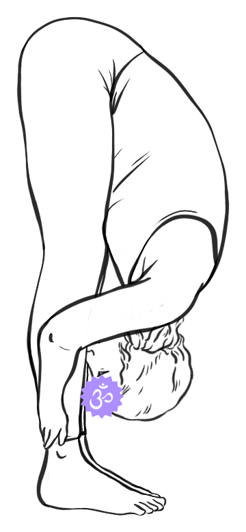 Line drawing of a figure folded forward in Standing Forward Bend with the Crown energy center lit in violet at the top of the head.