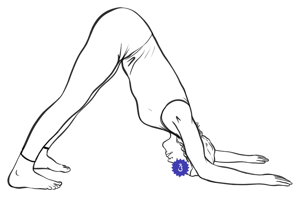 Line drawing of a figure in Dolphin Pose on the forearms with hips lifted high, the Third Eye energy center lit in indigo on the forehead.