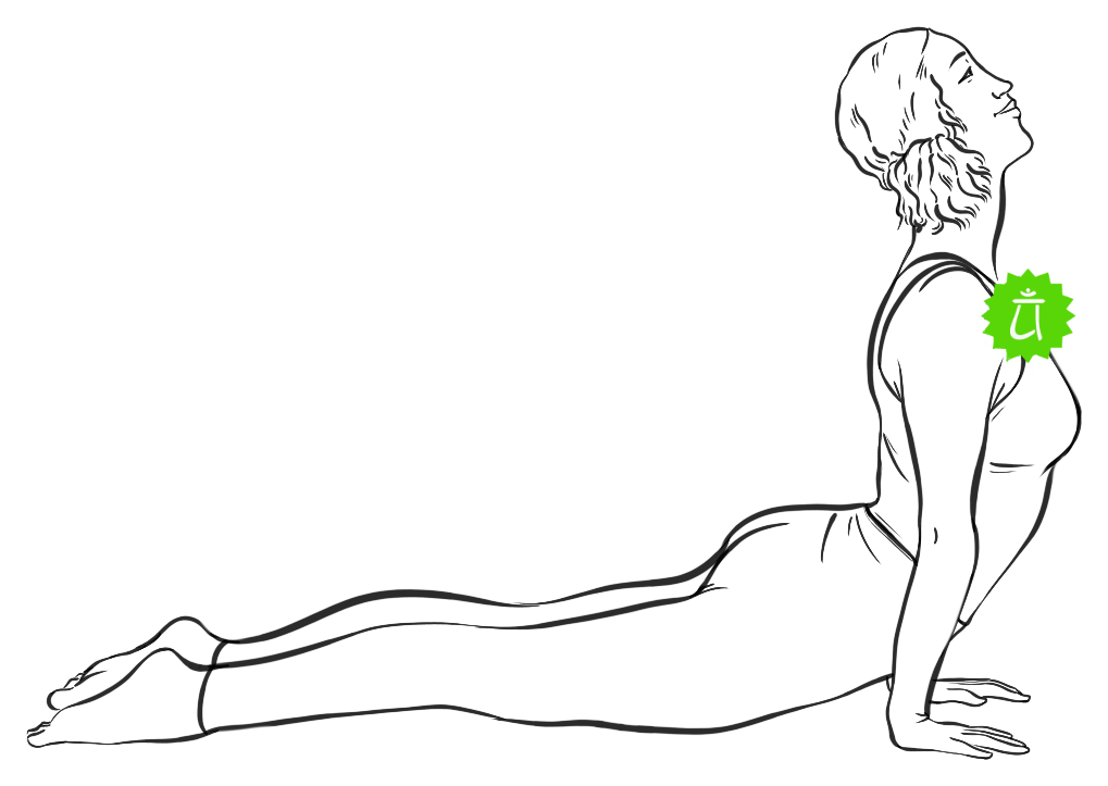 Line drawing of a figure in Upward-Facing Dog with the chest lifted open and the Heart energy center lit in green at the center of the chest.